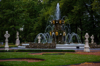 Летний сад: прогулка по старейшему парку Петербурга