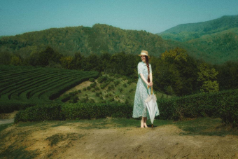 Магия Сочи: знакомство с городом в компании лучших гидов