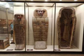 Эрмитаж для школьников: обзорная аудиоэкскурсия по главным экспонатам музея и входные билеты