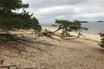 Места силы и остров Койонсаари