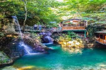 Термальные источник + Сухум + ущелье Черниговка (с завтраком)