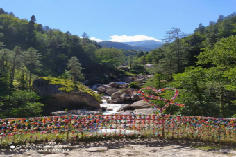 Эксклюзив джип-тур: «Зимняя сказка на озере Рица и Мандариновый сад»