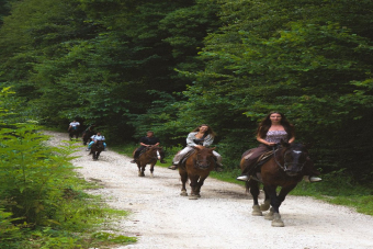 Конный тур каньон Псахо