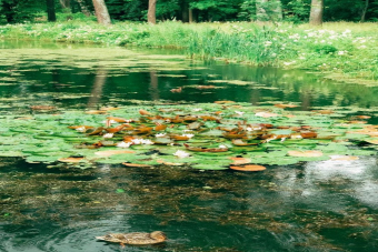 Александрия — безмятежная красота