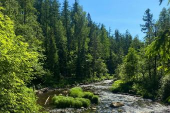 Природная экскурсия по Линдуловской роще