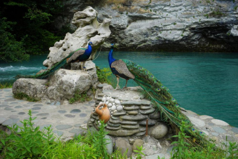 Золотое кольцо Абхазии: Гагра, Рица и Новый Афон