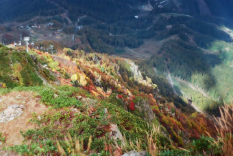 Красная Поляна заповедная