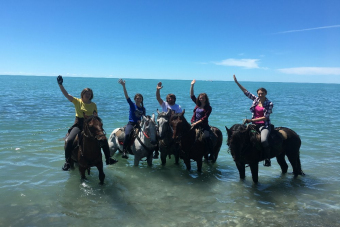 На лошадях к Чёрному морю