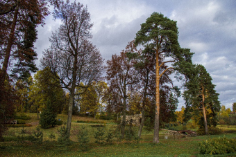 Усадьба Марьино (дворянское гнездо Строгановых)