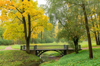 Литературное Царское Село