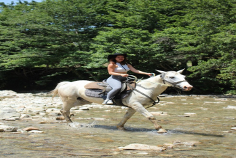 Конный тур каньон Псахо