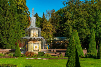 В Петергоф по воде: «Метеор» + фонтаны в мини-группе