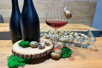 В гостях у винодела: дегустации, улитки и живопись вином!