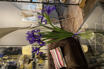 Знакомство с фарфором и мастер-класс по росписи