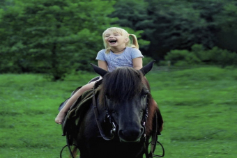 Катание на лошадях в Адлере