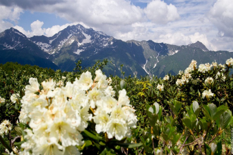 Три курорта Красной Поляны — закат в горах