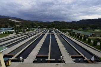 Рыбалка и экскурсия на Форелевом хозяйстве