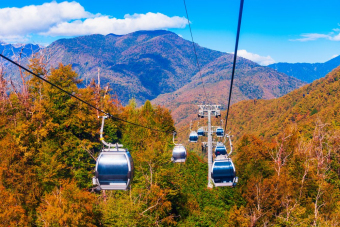 Красная поляна + Олимпийские объекты