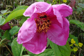 Трекинг к водопаду Кейва в Красной Поляне