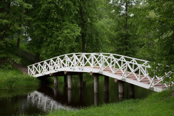 Царское Село. Век просвещения и чудес