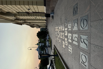 Петроградка: уютная и живая