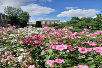 Павел I. Путь от наследника до императора (Царское Село и Павловск)