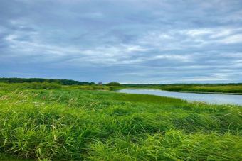 Два дня в Пушкинских Горах