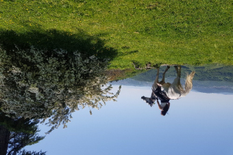 Конный маршрут к «Чайным домикам»