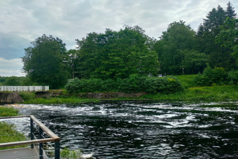 Гдов и Чудское озеро