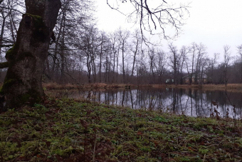 Усадьба Гостилицы. Экскурсия по парку