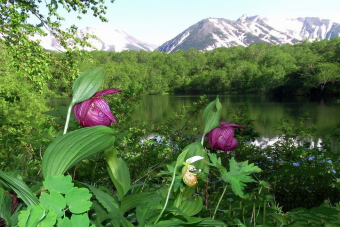 Мини-поход в сердце заповедника на Бзерпинский карниз