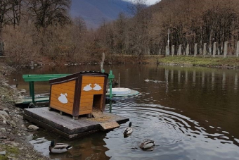 В мире животных или знакомство с фауной Кавказа