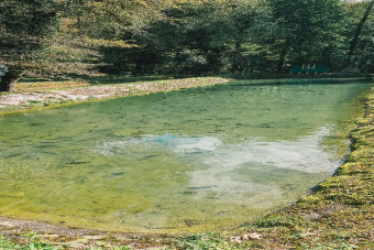 Авторский тур: Абхазия с детьми