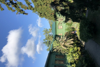 Обзорная по Сочи: история и природа