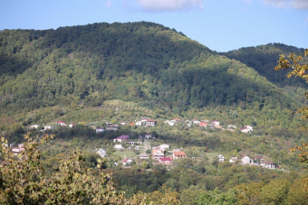 На лошадях к Чёрному морю