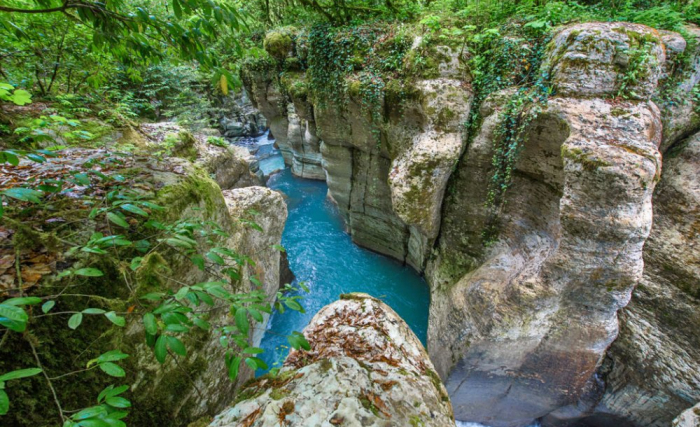 Незабываемая природа местных субтропиков