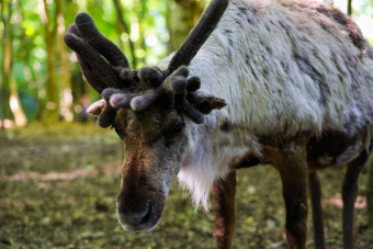 Панорамы горы Ахун с выбором маршрута