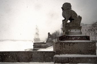 Фантастические твари Санкт-Петербурга