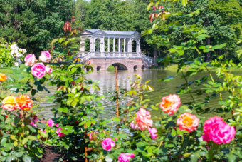 Царское Село (Пушкин), Павловск и Гатчина — три пригорода за 1 день