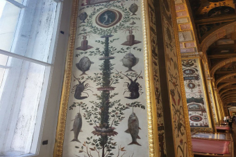 Персональные занятия с детьми в Эрмитаже