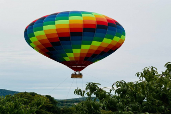 Авторский тур в Мацесту с посещением винодельни