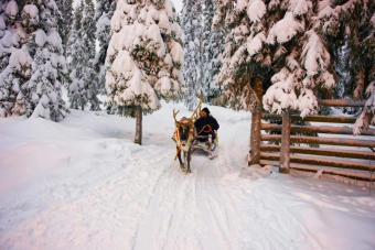 Гран-тур Вся Карелия за 3 дня