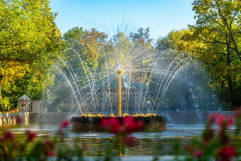 Петергоф индивидуально на личном транспорте комфорт класса