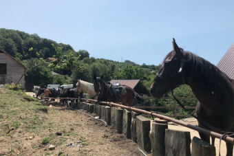 Конный маршрут к «Чайным домикам»