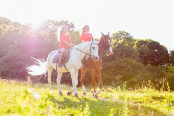 Прогулки на лошадях над Олимпийским парком и ущельем Кудепста