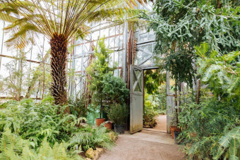 Многогранные субтропики: прогулка по оранжереям Ботанического сада