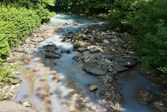 Легендарные достопримечательности Сочи за один день