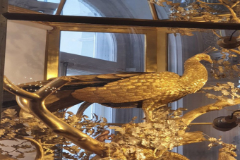 Детская экскурсия в Эрмитаж