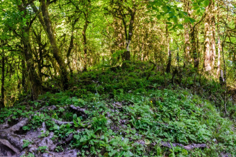 К Ореховскому водопаду с фотосетом на камерофон Vivo X200