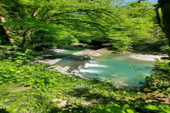 Веселый джиппинг в Солох-аул: Ведьмина гора, самшиты, источник и водопады